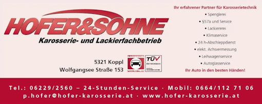 Logo-Hofer-und-Söhne1